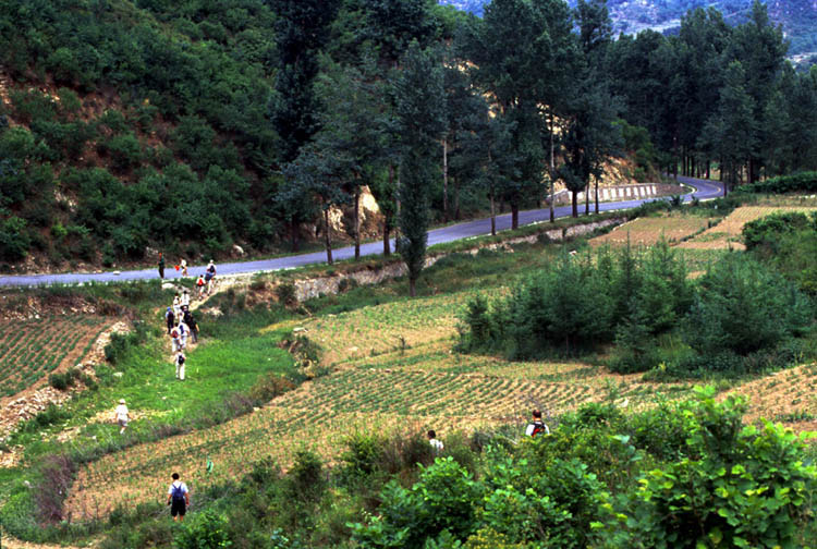 Hiking-field