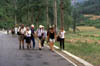 Hikers-on-road